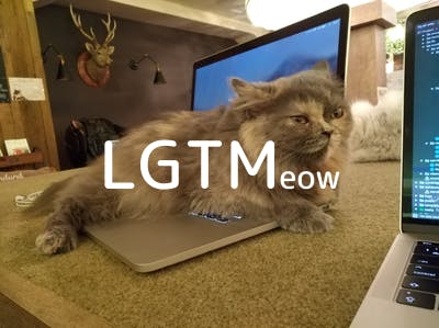 lgtm-cat-image