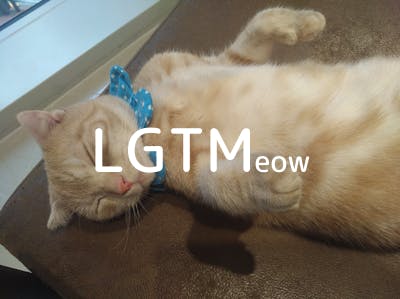 lgtm-cat-image