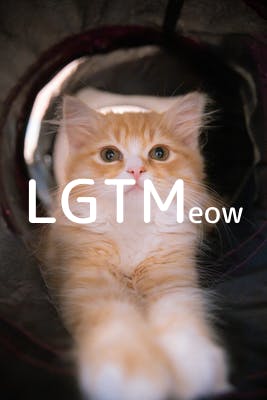 lgtm-cat-image