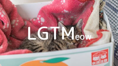 lgtm-cat-image