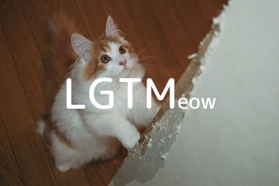 lgtm-cat-image