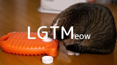 lgtm-cat-image